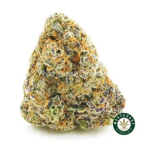  Unicorn Cake strain helps with. Cramps. 33% of people say it helps with Cramps. Depression. 33% of people say it helps with Depression. Anxiety. 33% of people say it helps with Anxiety. This info ... 